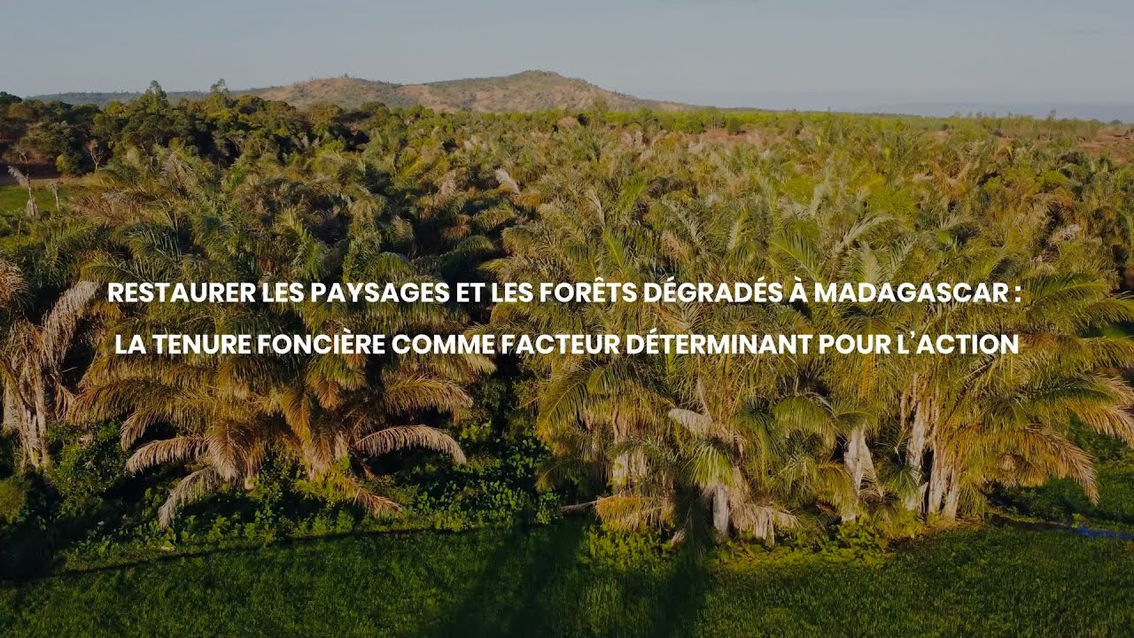 thumbnail of  Restaurer les paysages et les forêts dégradés à Madagascar : La tenure foncière comme facteur déterminant pour l’action
