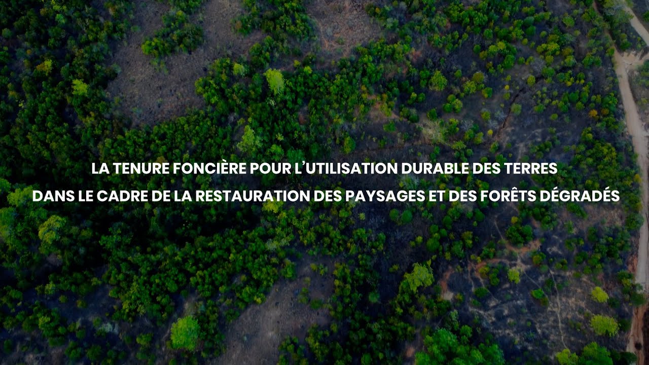 thumbnail of  La tenure foncière pour l'utilisation durable des terres dans le cadre de la restauration des paysages et des forêts dégradés