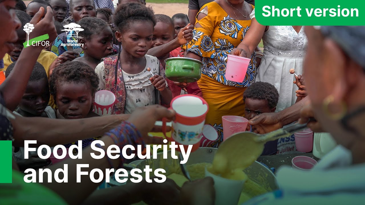 thumbnail of  Food Security and Forests: Improving food security and nutrition in Lileko along the Congo River