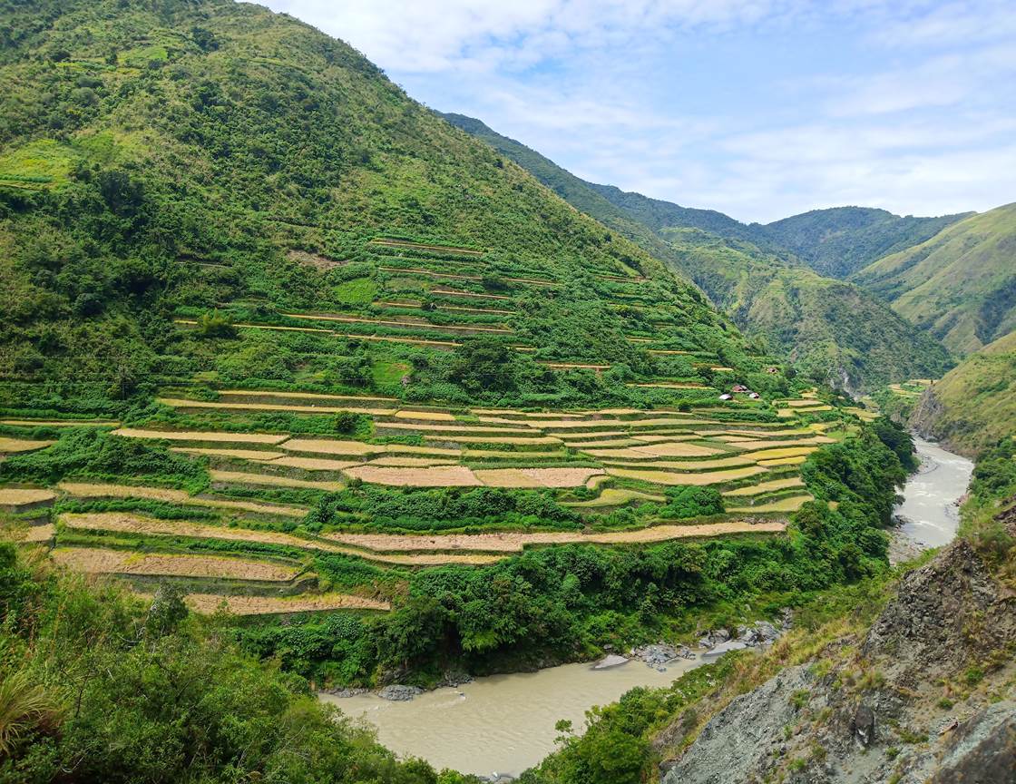 thumbnail of  Coping with climate change through agroforestry: the experience of the Ykalingas in the Philippines