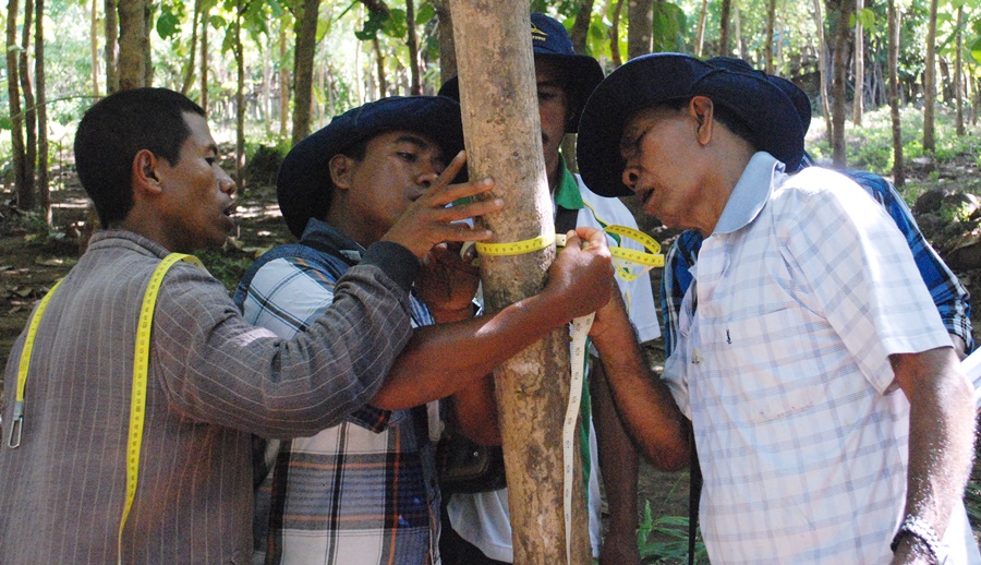 thumbnail of  Who benefits? Study on farmers’ participation in land-based, carbon-sequestration projects