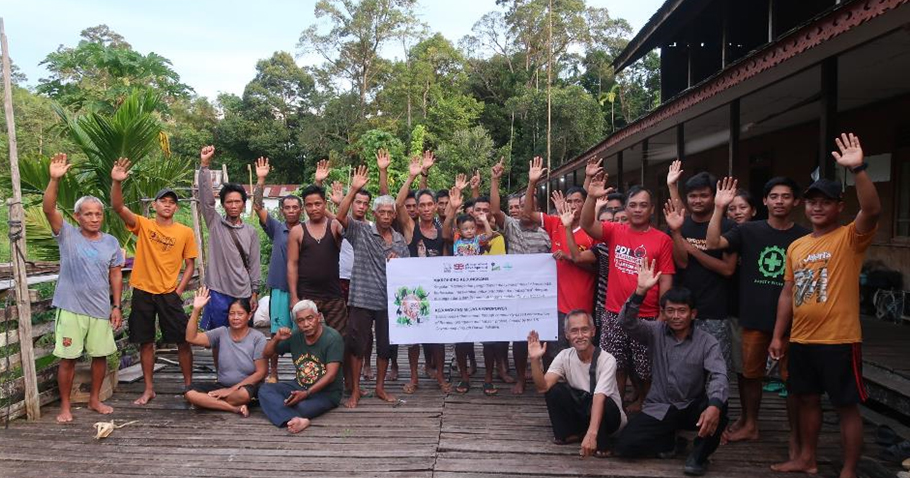 Protecting orangutans