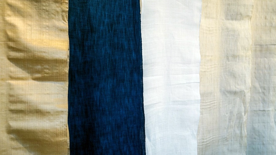 thumbnail of  Agricultural innovation in the mountains: a new direction