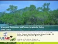 thumbnail of  Mangrove governance and tenure: Insights for policy and practice from selected sites in Indonesia, Tanzania and a global review