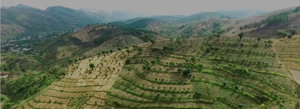 thumbnail of  CGIAR food systems dialogue in Viet Nam