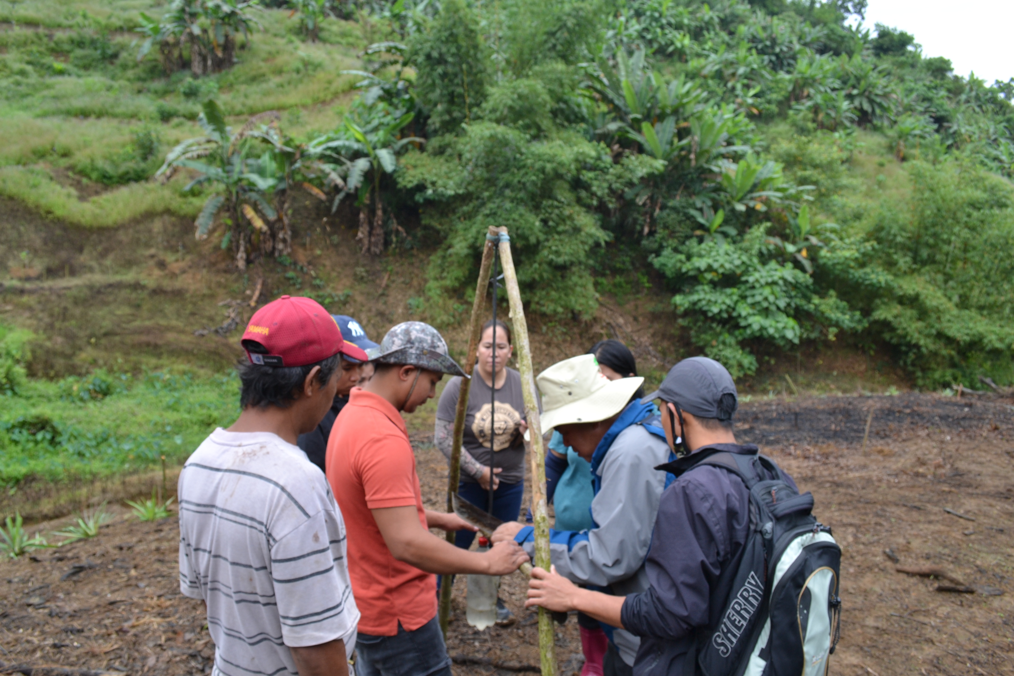 thumbnail of  Reaching the field in the ‘new normal’