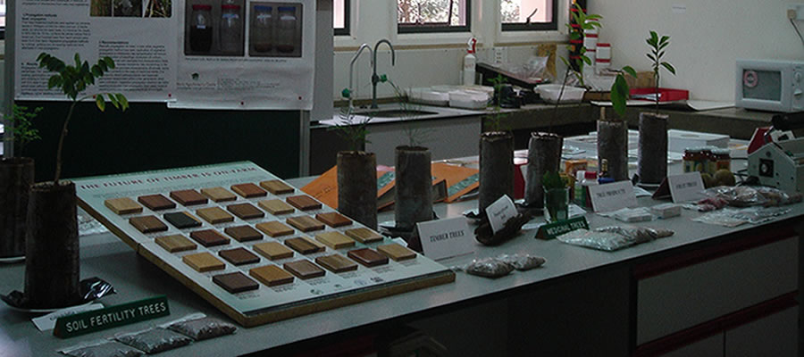 thumbnail of  How to feed a growing global population in the midst of a climate crisis