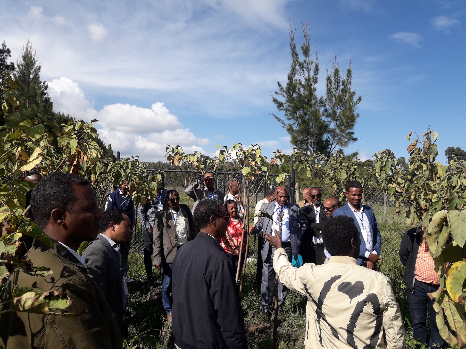 thumbnail of  Towards a National Watershed and Agroforestry Multi-Stakeholder Platform in Ethiopia