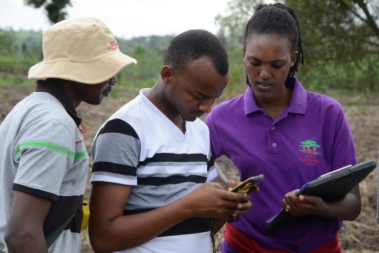 thumbnail of  Using the Land Degradation Surveillance Framework to assess land health in Rwanda