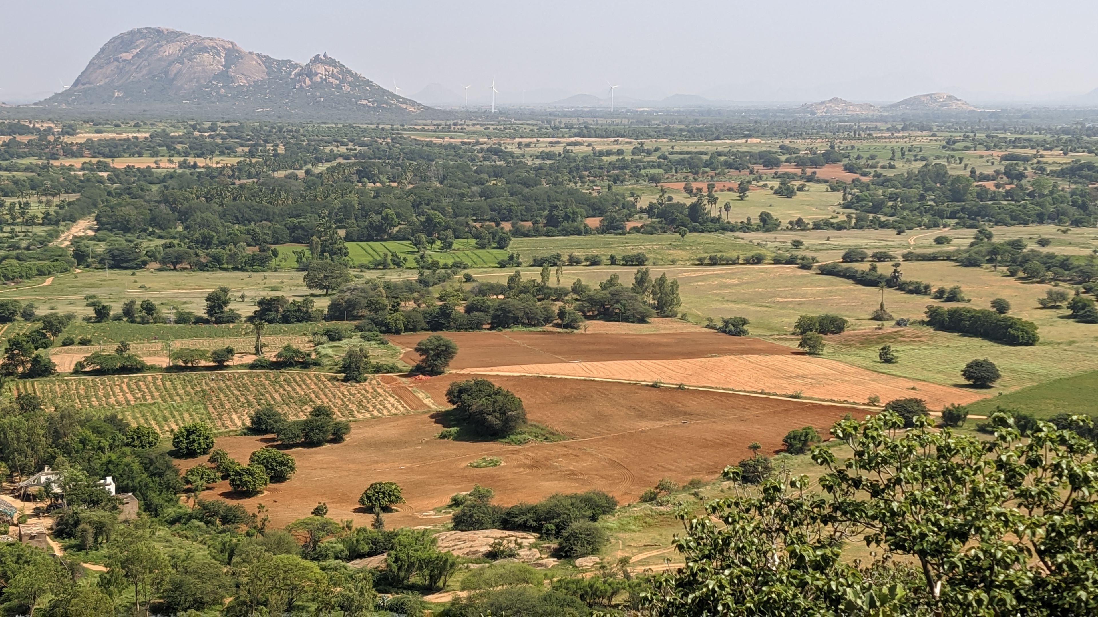 thumbnail of  Reversing desertification in Andhra Pradesh: a case for ‘engagement landscapes’