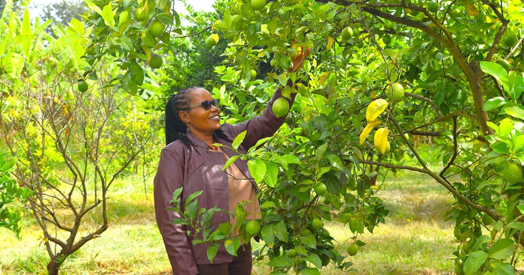 thumbnail of  Mother blocks provide seeds of hope for ecosystem restoration in Africa