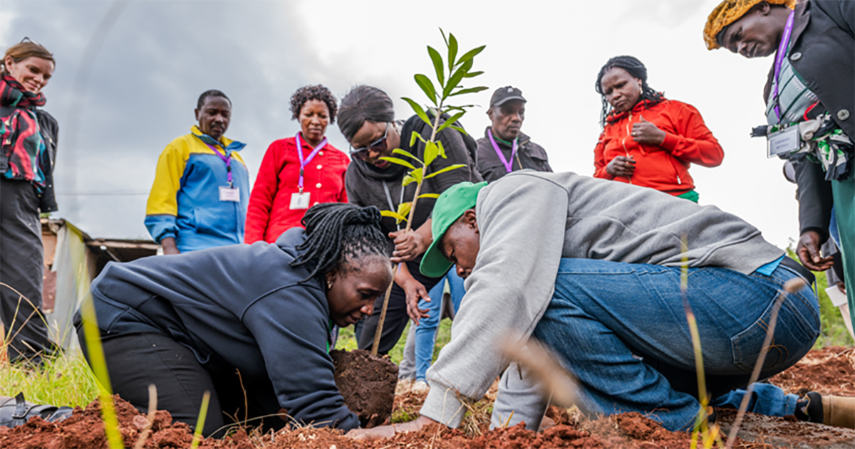 thumbnail of  Tree growing and agroforestry training boost restoration efforts in Kenya