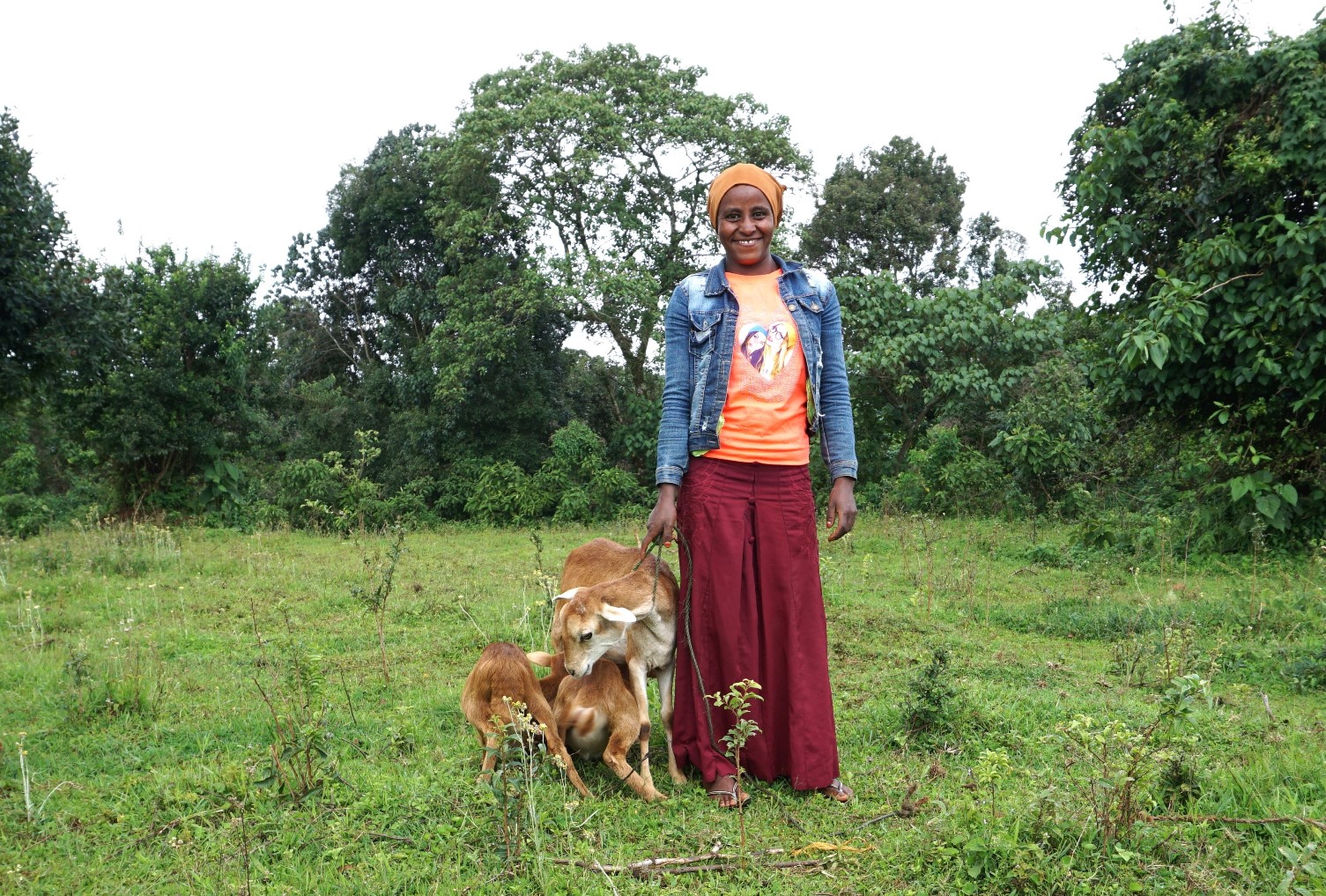 thumbnail of  Youth in green jobs set course for a better future in Ethiopia
