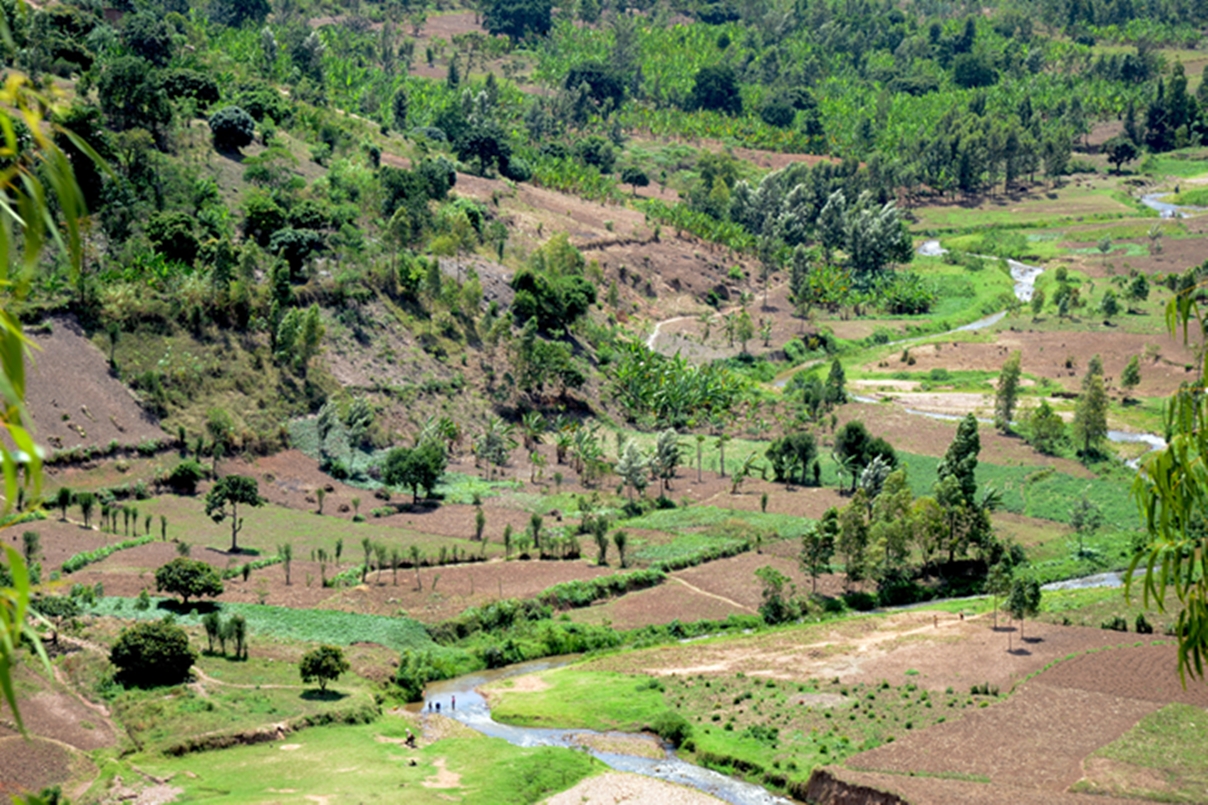 thumbnail of  Establishing a soil spectral laboratory in Rwanda