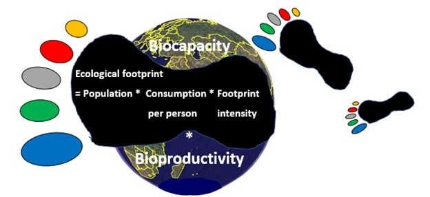 thumbnail of  How’s your carbon footprint?