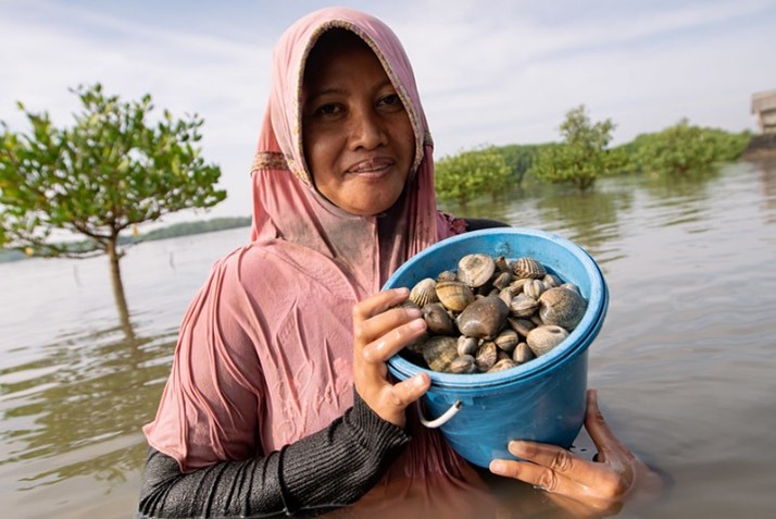 thumbnail of  How women shellfishers can be empowered to conserve coastal biodiversity