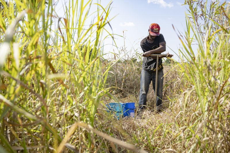 thumbnail of  Integrating soil organic carbon into Nationally Determined Contributions across Africa