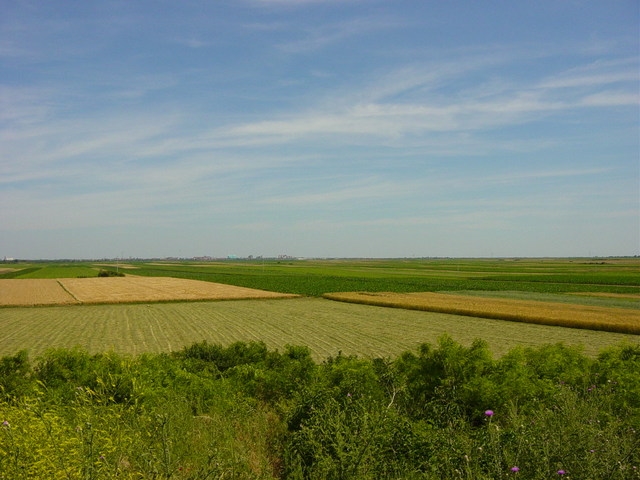 thumbnail of  Connect energy transition to investment opportunities, experts tell COP26