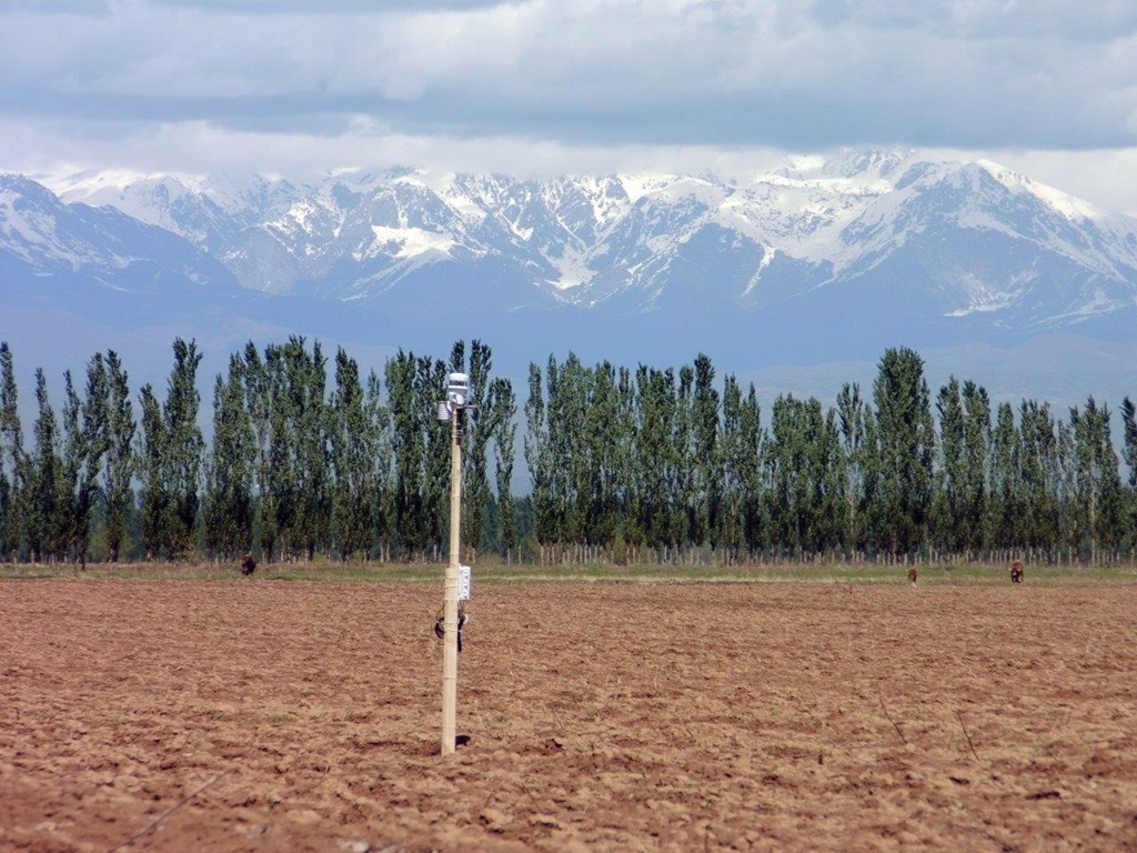 thumbnail of  2.5 million hectares pledged to be restored in the Caucasus and Central Asia