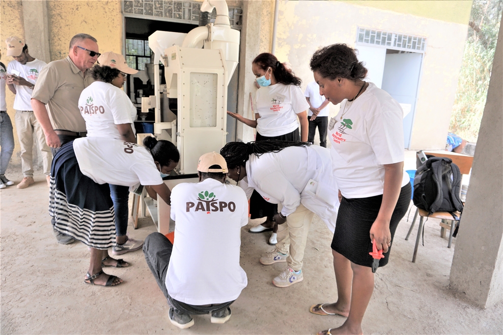 thumbnail of  Building capacity of tree-seed centres in Ethiopia to ensure seed quality