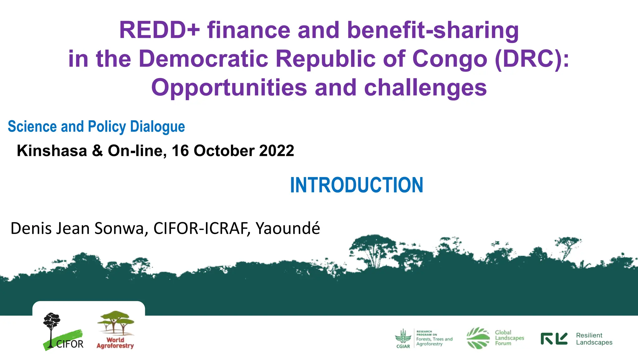 thumbnail of  REDD+ finance and benefit-sharing in the Democratic Republic of Congo (DRC): Opportunities and challenges