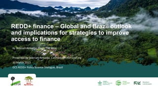 thumbnail of  REDD+ finance - Global and Brazil outlook and implications for strategies to improve access to finance