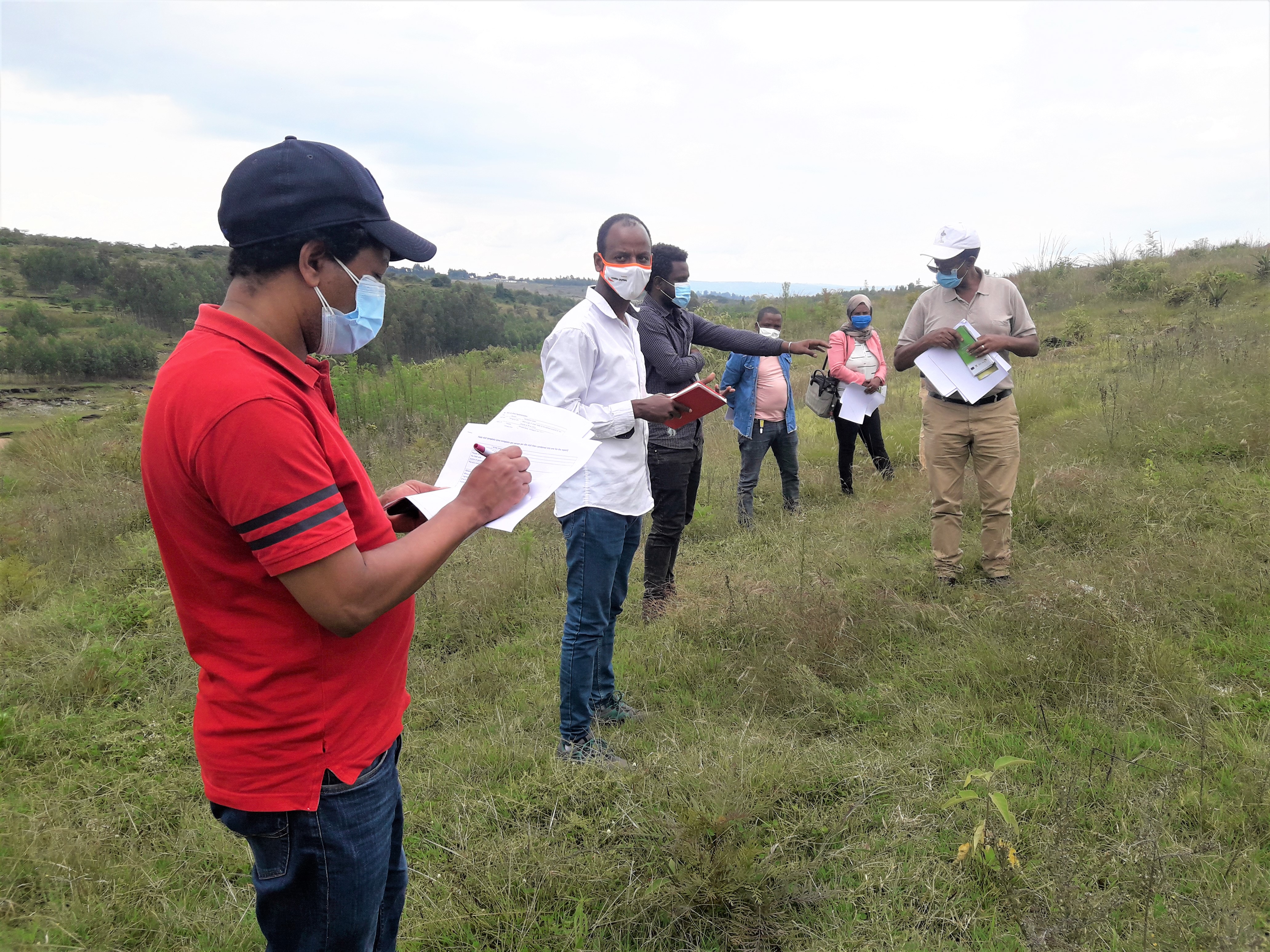 thumbnail of  A tale of an enclosure: an Ethiopian success story