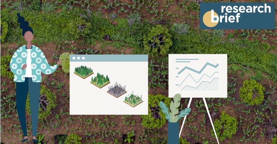 thumbnail of  Visualising data helps people understand choices and make decisions more easily