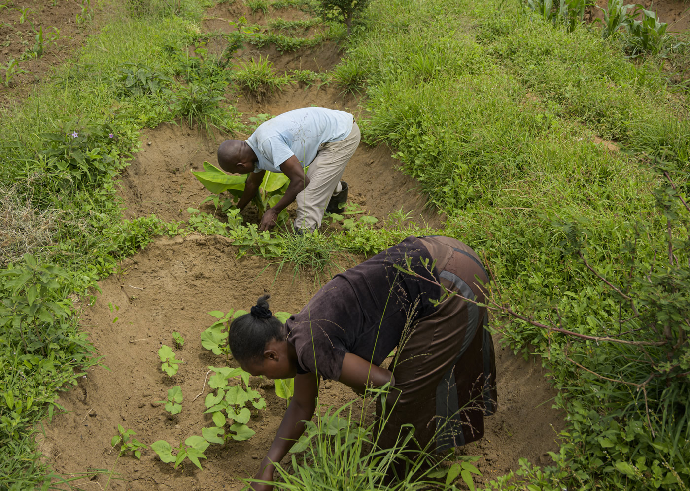 thumbnail of  Restoration needs both women and men