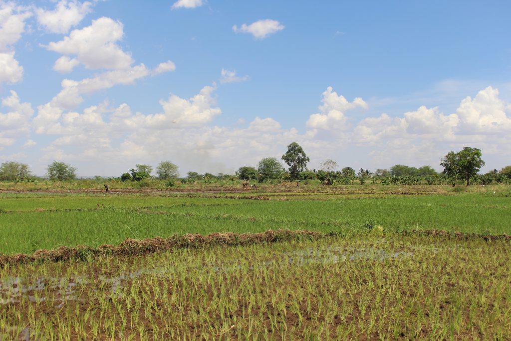 thumbnail of  Flood-Based Livelihoods Symposium: Harnessing the potential of flood water