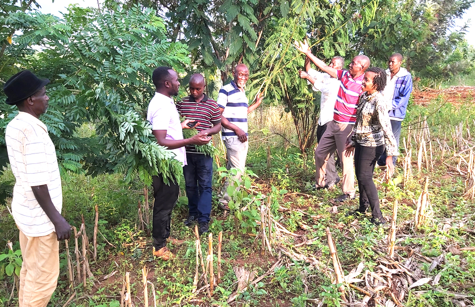 thumbnail of  Q+A: How women and girls can succeed in science