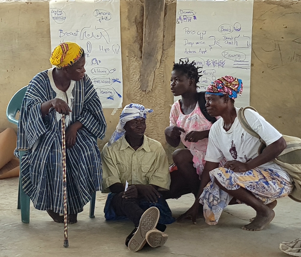 thumbnail of  FEATURE: Gender-transformative pathways in the regreening landscapes of Ghana