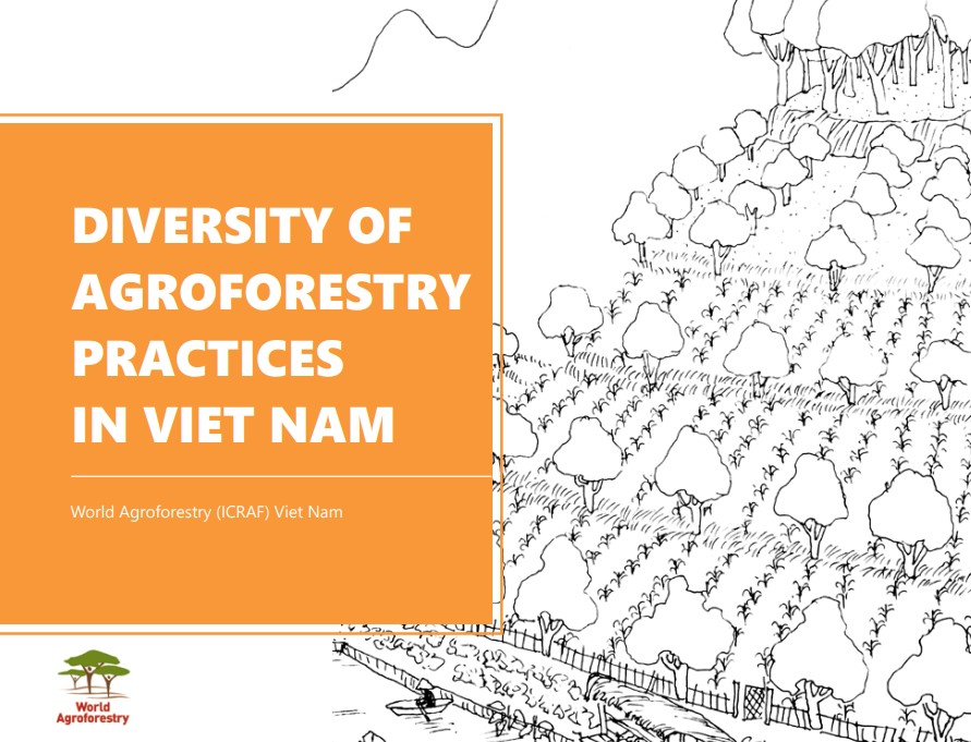 thumbnail of  New book: Diversity of agroforestry practices in Viet Nam