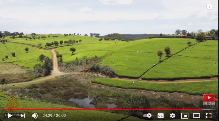 thumbnail of  Earthrise in Kenya meets healthy soils, scientists and farmers