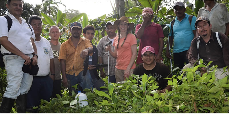 thumbnail of  Sentinel Solutions for the Anthropocene