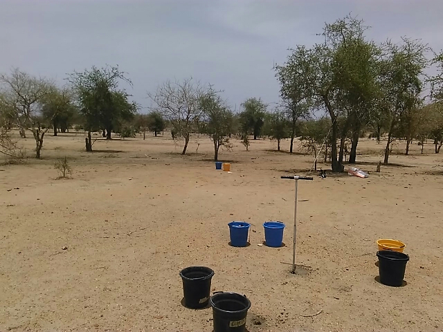 thumbnail of  Chad: championing healthy soils and ecosystems through data