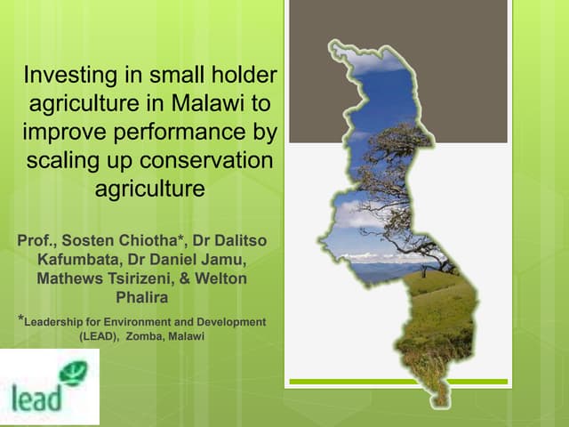 thumbnail of  Investing in small holder agriculture in Malawi to improve performance by scaling up conservation agriculture