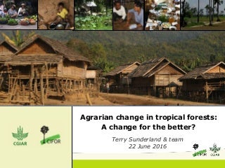 thumbnail of  Agrarian change in tropical forests:  A change for the better?