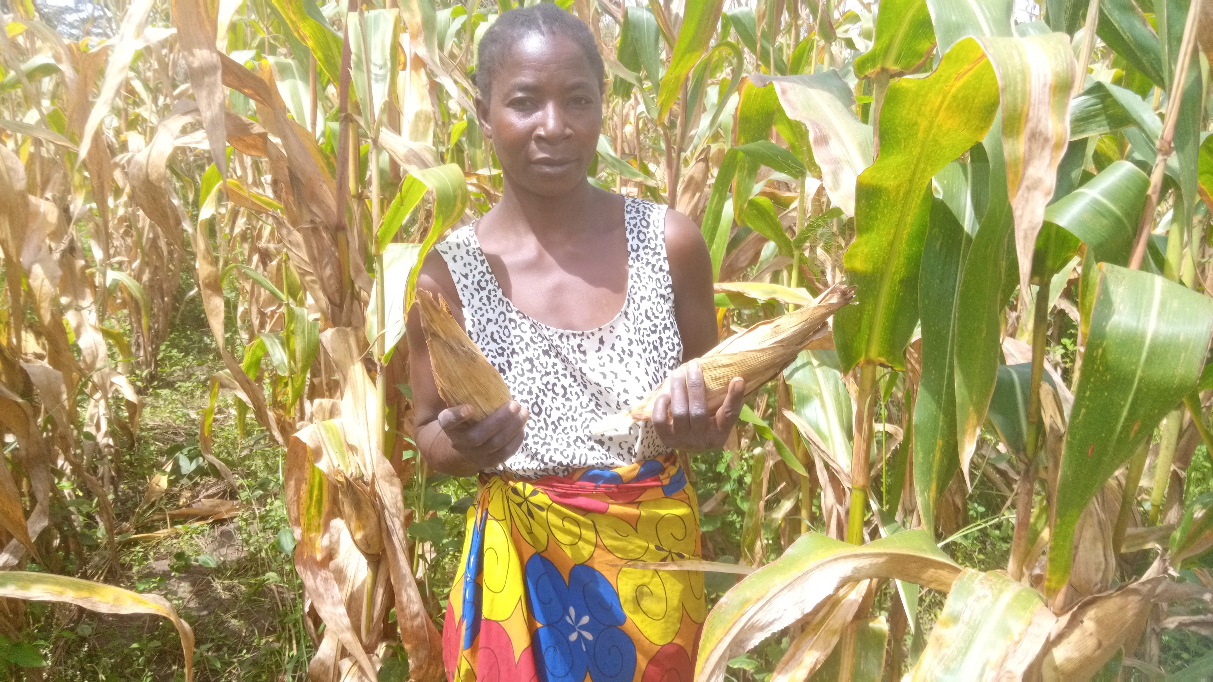 thumbnail of  Building back better by strengthening rural women’s resilience