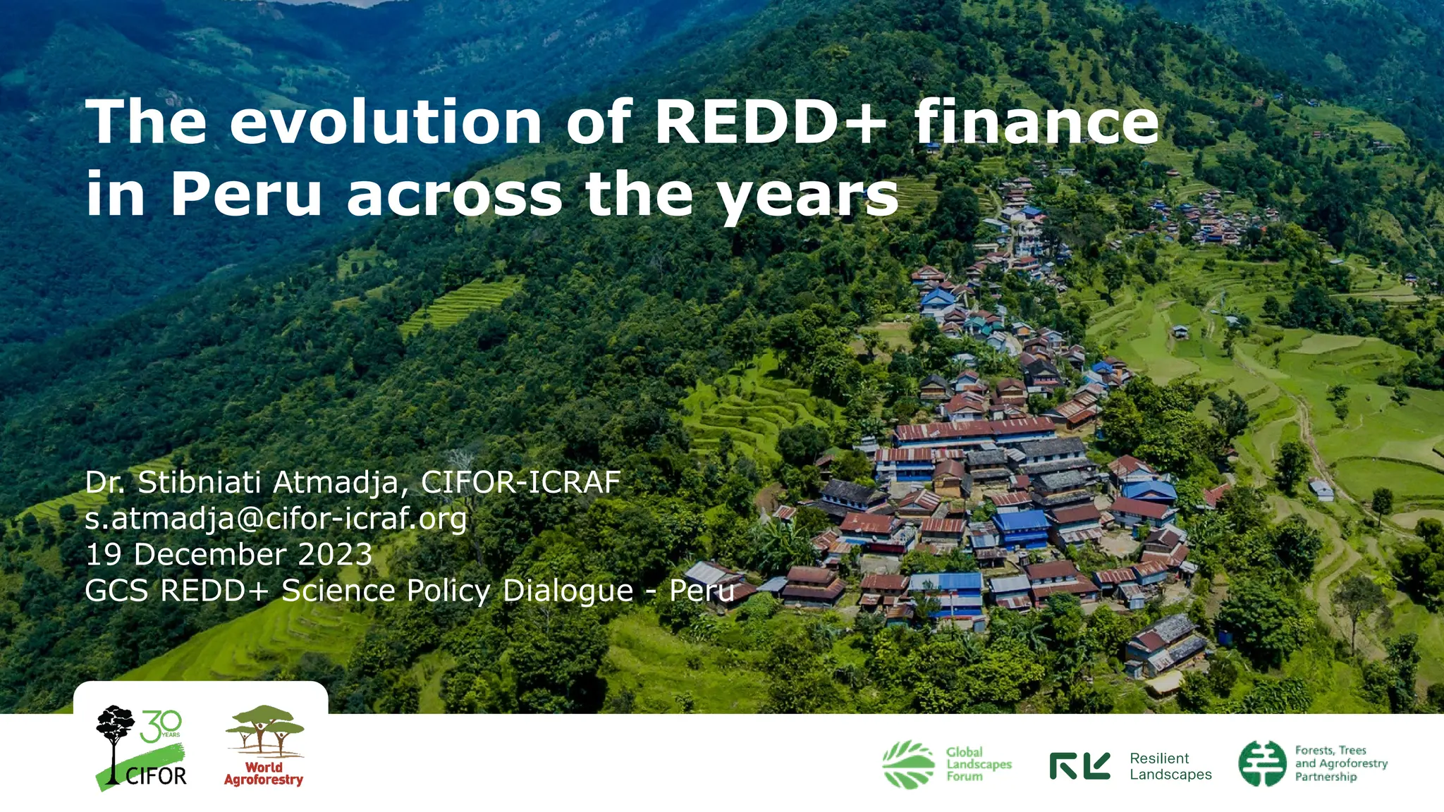 thumbnail of  The evolution of REDD+ finance in Peru across the years