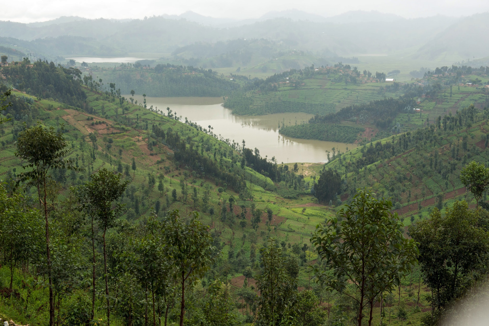 thumbnail of  Agroforestry needs visibility in national budgets to track climate progress