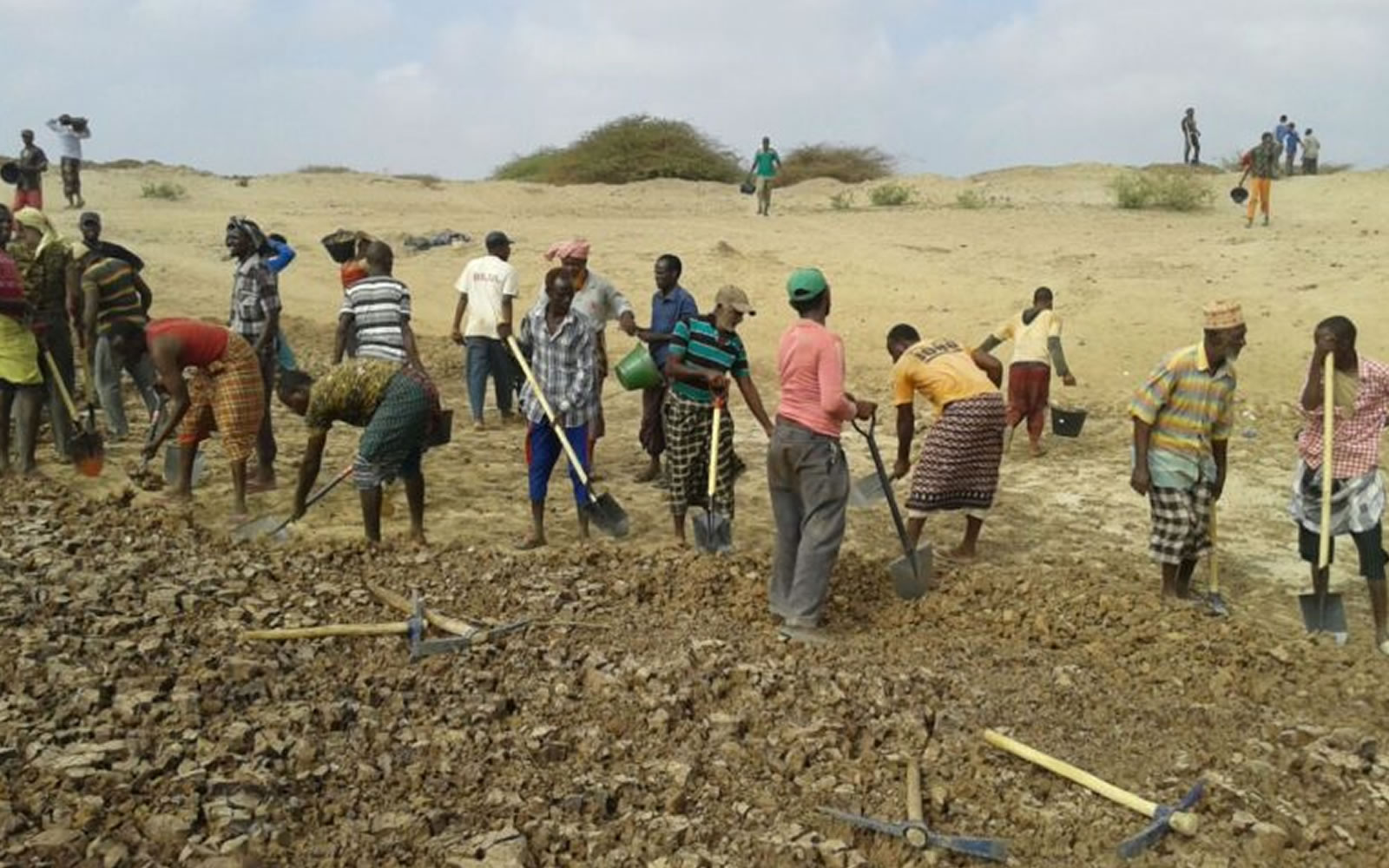 thumbnail of  Regreening activities kick-off in Somalia