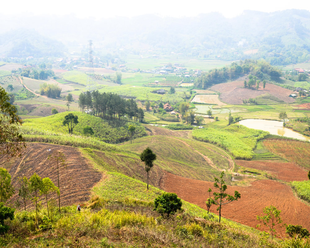 thumbnail of  ‘Data streaming from the spectrometer’: a new dawn for soil assessments