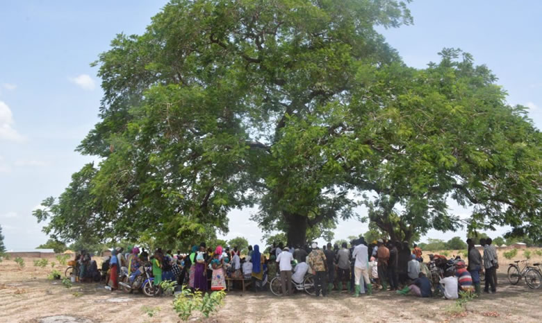 thumbnail of  Pause, reflect, learn, adapt