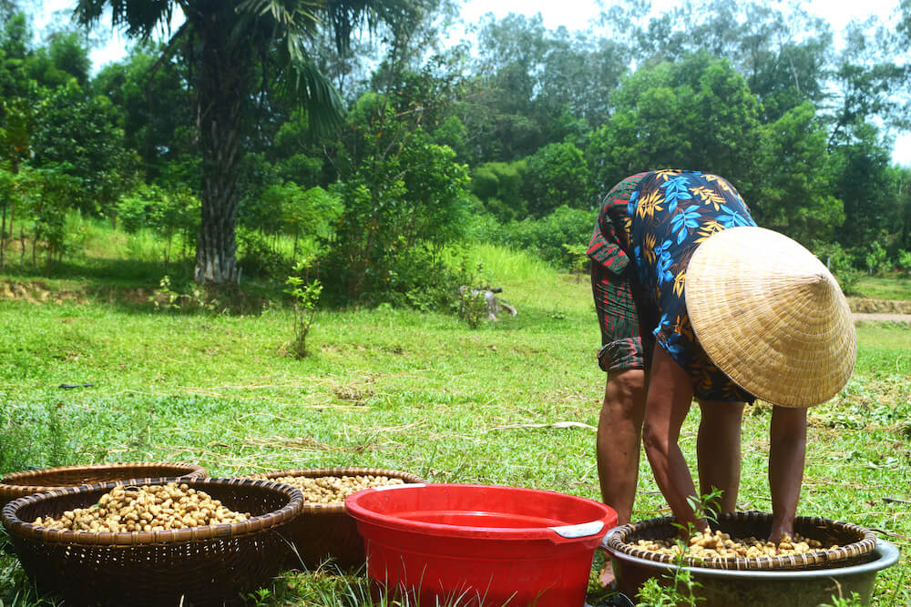 thumbnail of  ‘When the strong arms leave the farms’... for a while, for good, for a better life