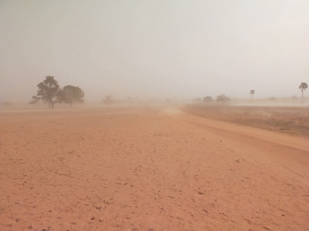 thumbnail of  Ecosystem services valuation: the question of precision