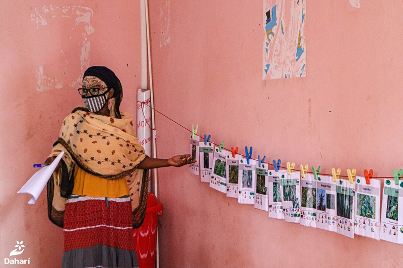 thumbnail of  Blending ‘soft skills’ with data science to expand agroforestry adoption in the Comoros