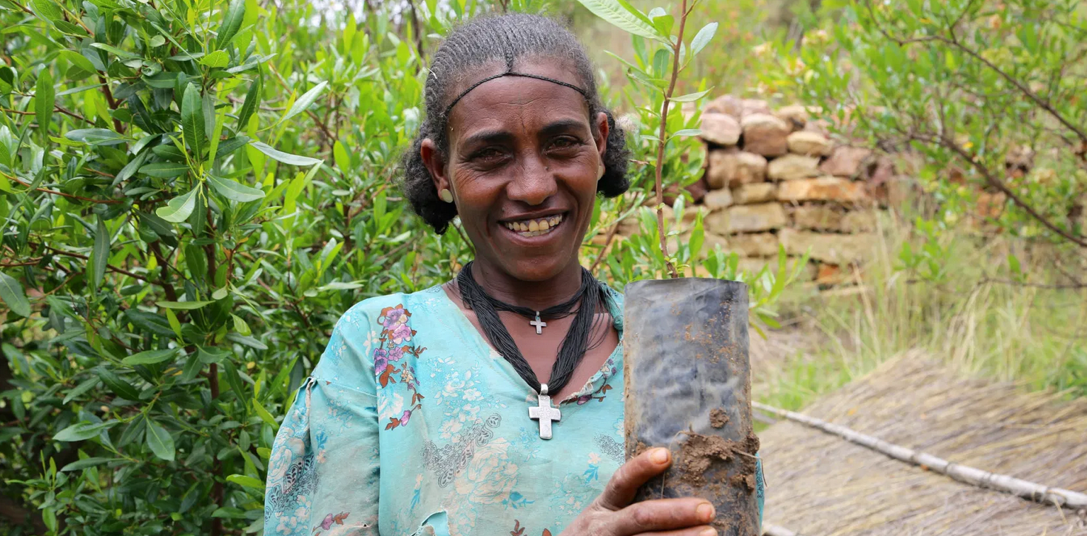 thumbnail of  CIFOR-ICRAF scientists to speak at tree planting forum