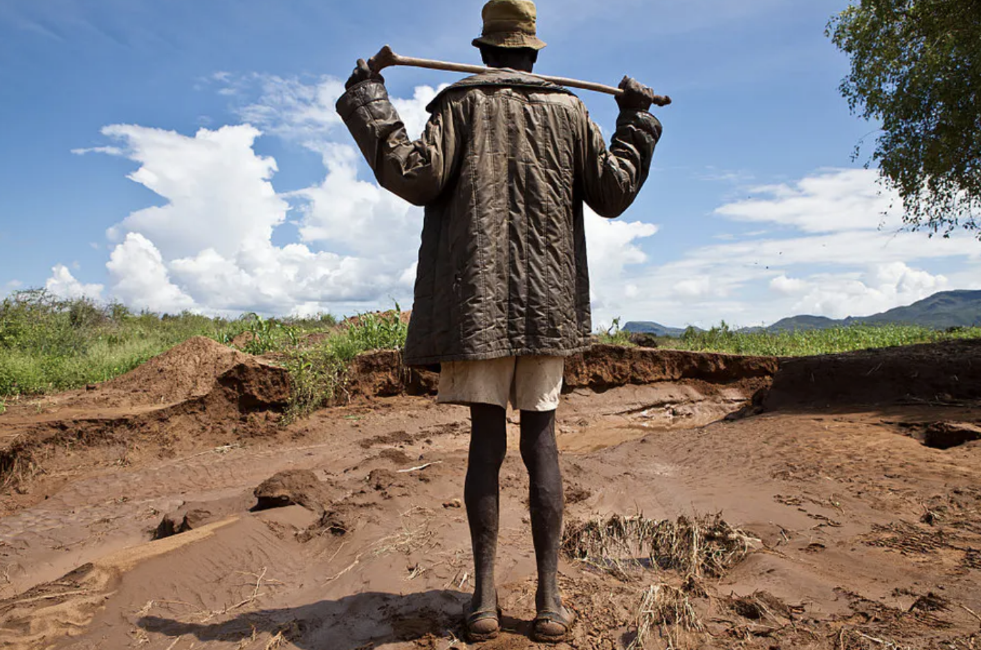 thumbnail of  Key insights into land degradation from seven African countries