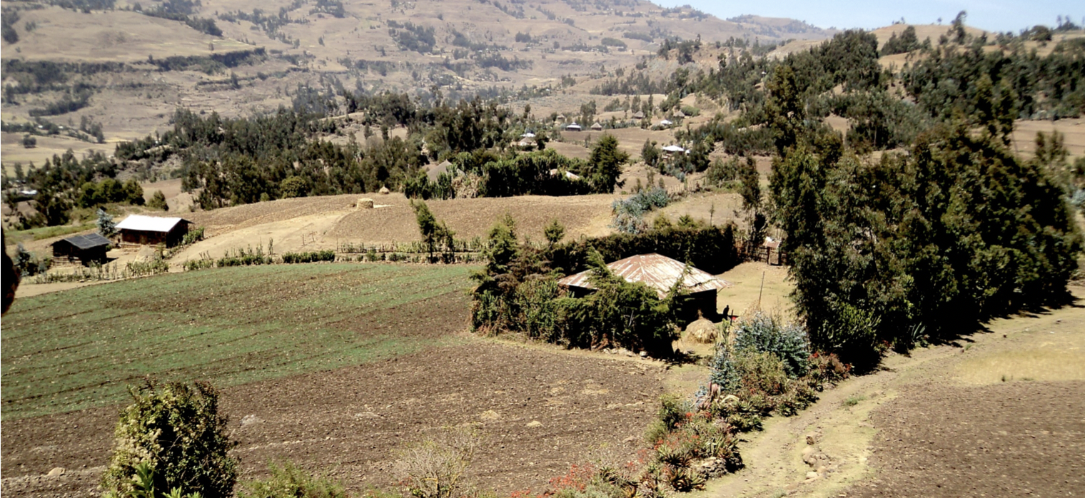 thumbnail of  Collaborating with farmers is the key to restoring degraded land